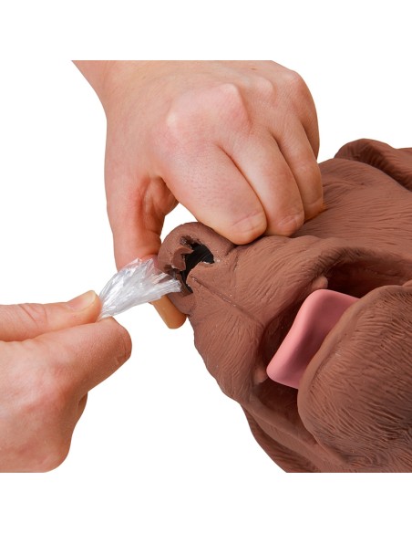 CasPeR - CPR Resuscitation Dog Manikin VET2500