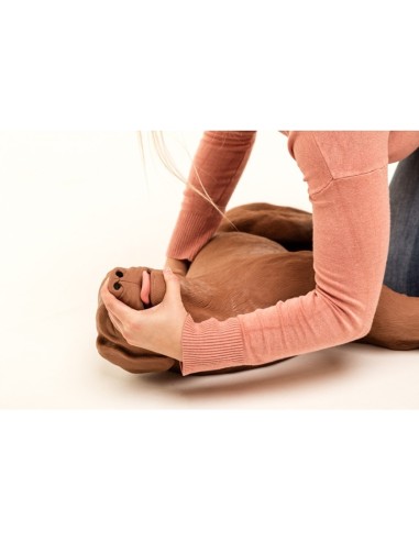 CasPeR - CPR Resuscitation Dog Manikin VET2500