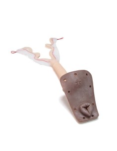 Utérus pour simulateur de chien d'entraînement...