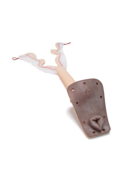 Uterus for Gynecological Training Dog Simulator Erler Zimmer VET5010