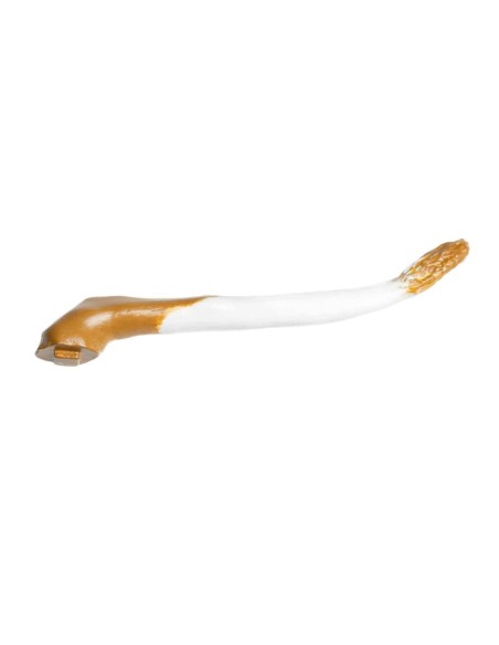 Modèle de vache à l'échelle 1/3 décomposable en 15 parties EZ - VET3300
