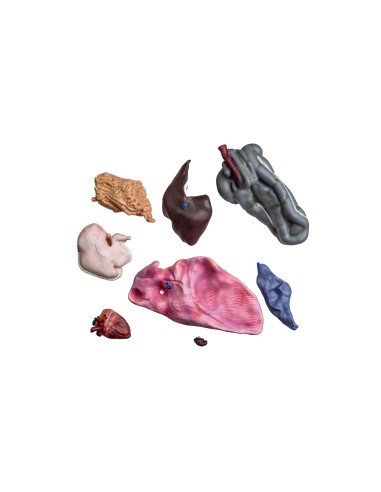 16-teilig, 1/3 lebensgroßes Pferd (Stute)...