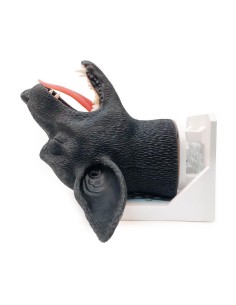 Tête de chien pour la simulation pratique d'intubation... 2