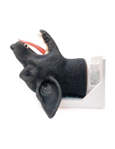 Tête de chien pour la simulation pratique...