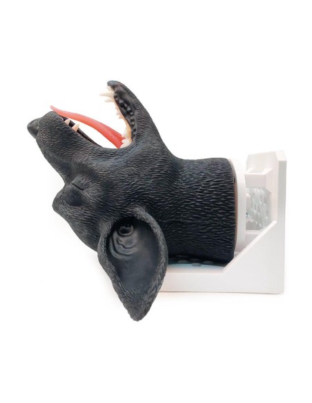 Tête de chien pour la simulation pratique d'intubation VET4600