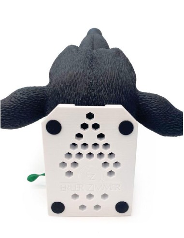 Tête de chien pour la simulation pratique...