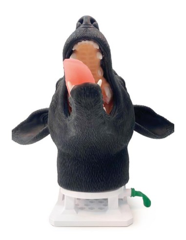 Cabeza de perro para simulación práctica de...