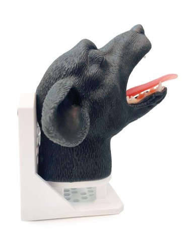 Dog head for practical simulation of intubation...