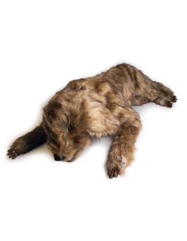 Maniquí de perro 'Rocky' para simulación de...