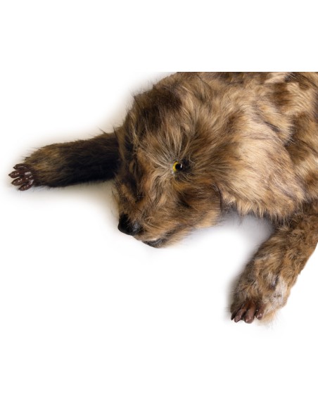 Mannequin de chien "Rocky" pour simulation de positionnement Erler Zimmer VET4630