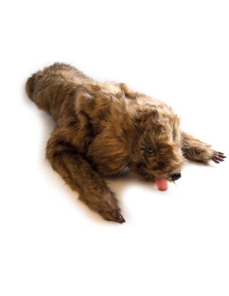 Maniquí de perro 'Rocky' para simulación de posicionamiento Erler Zimmer VET4630