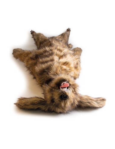 Mannequin de chien "Rocky" pour simulation de...