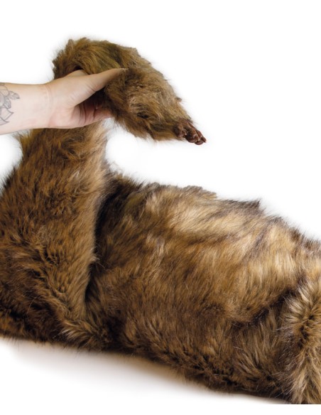 Hundedummy 'Rocky' zur Lagesimulation Erler Zimmer VET4630