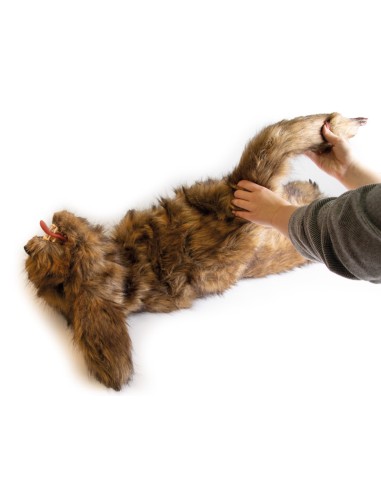 Hundedummy 'Rocky' zur Lagesimulation Erler...