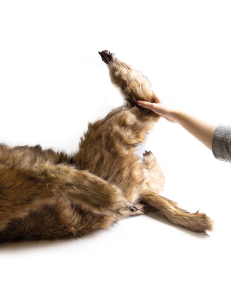 Manichino di cane "Rocky" per la simulazione di posizionamento Erler Zimmer VET4630