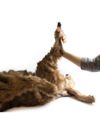 Hundedummy 'Rocky' zur Lagesimulation Erler...