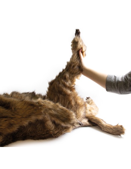 Mannequin de chien "Rocky" pour simulation de positionnement Erler Zimmer VET4630