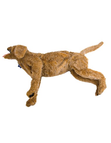 Dog dummy for intensive care CPR Jerry VET4010