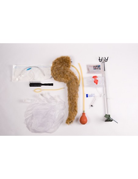 Manichino di Cane per terapia intensiva CPR Jerry VET4010