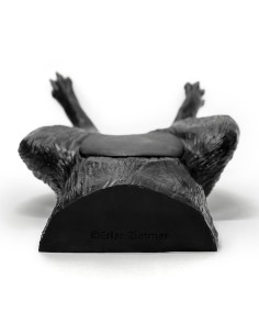 Simulateur d'échographie vésicale canine - Erler Zimmer...