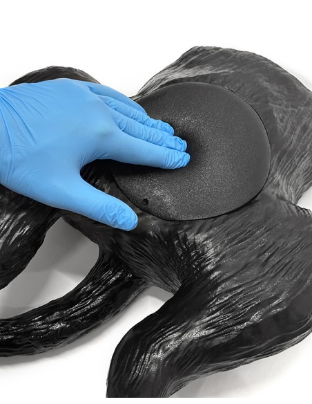 Canine bladder ultrasound simulator - Erler Zimmer VET4640