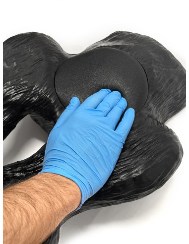 Canine bladder ultrasound simulator - Erler...