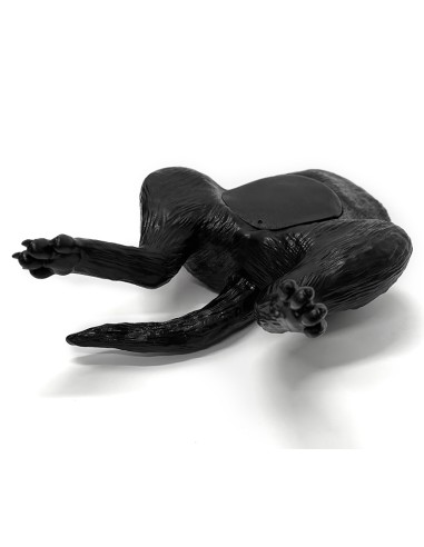 Canine bladder ultrasound simulator - Erler...