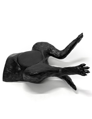 Canine bladder ultrasound simulator - Erler...