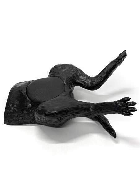 Simulador de ultrasonido de vejiga canina - Erler Zimmer VET4640