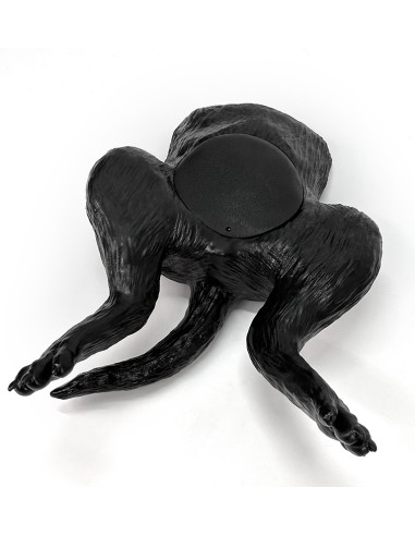 Canine bladder ultrasound simulator - Erler...