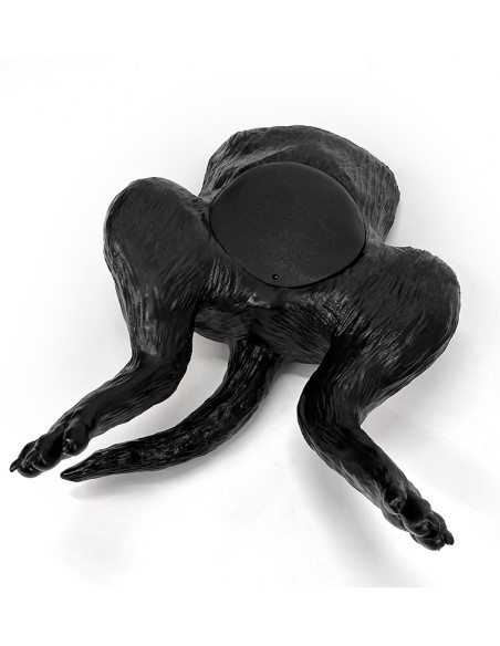 Simulador de ultrasonido de vejiga canina - Erler Zimmer VET4640