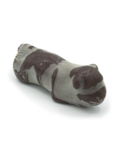 Module d'accouchement pour le simulateur de chien... 2