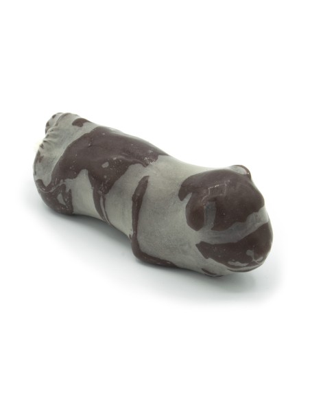 Module d'accouchement pour le simulateur de chien d'entraînement gynécologique Erler Zimmer VET5020