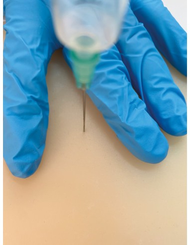 Simulator for intramuscular injections in small...