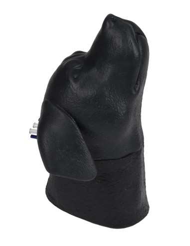 Dog head simulator for cervical venous...