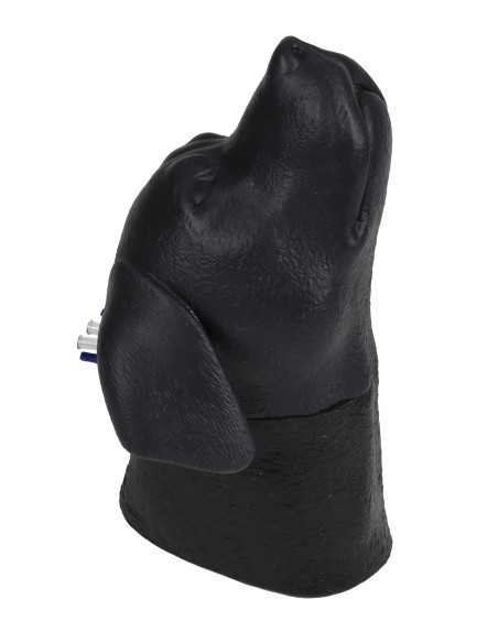 Simulador de cabeza de perro para inyección venosa cervical Erler Zimmer VET4620