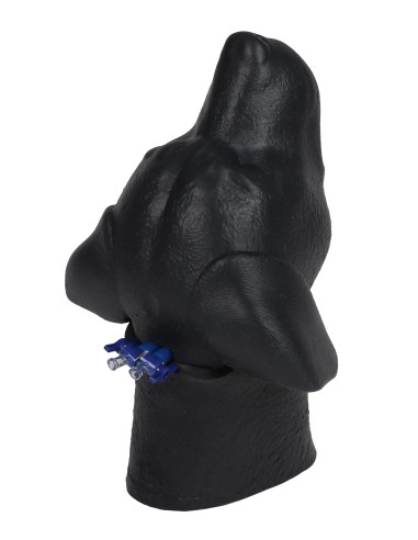 Dog head simulator for cervical venous...