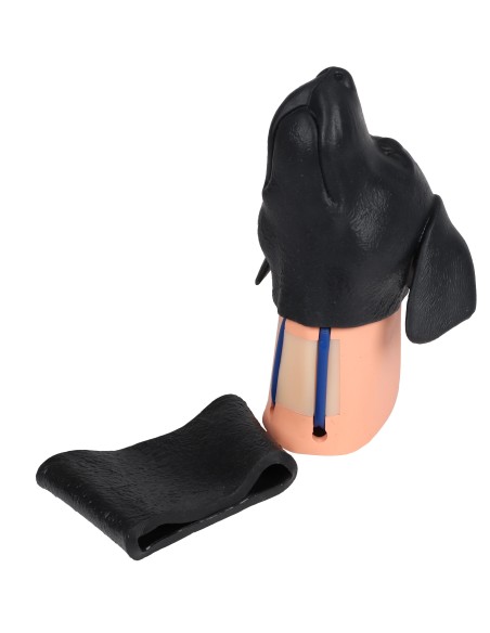 Dog head simulator for cervical venous injection Erler Zimmer VET4620