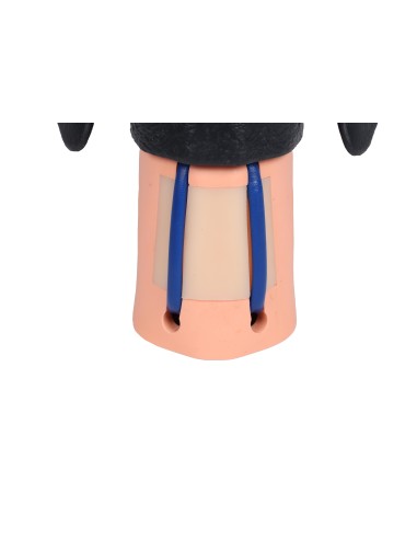 Dog head simulator for cervical venous...