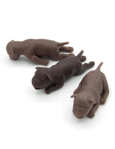 Juego de tres cachorros para entrenamiento ginecológico...