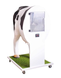 Fortgeschrittener Simulator für die künstliche Besamung... 2