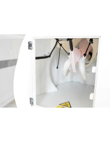 Advanced simulator for artificial insemination...