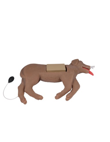 CPR training dog simulator CooPeR Erler Zimmer...