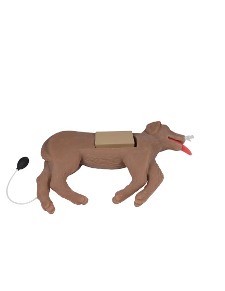 Simulateur de chien pour l'entraînement à la RCP CooPeR Erler Zimmer 4660