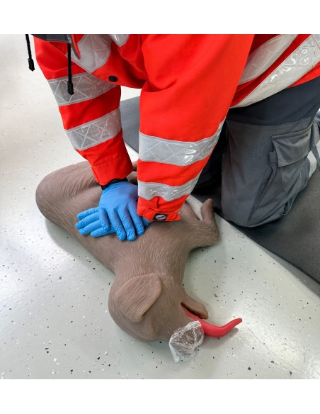 CPR-Training Hundesimulator CooPeR Erler Zimmer 4660