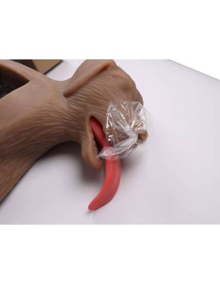 CPR training dog simulator CooPeR Erler Zimmer 4660