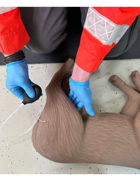 CPR training dog simulator CooPeR Erler Zimmer 4660