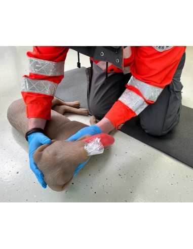 Simulateur de chien pour l'entraînement à la...