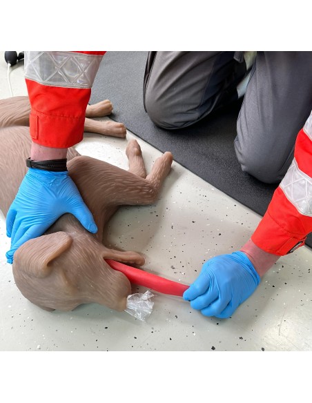 Simulateur de chien pour l'entraînement à la RCP CooPeR Erler Zimmer 4660