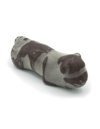 Gynecological Training Dog Simulator Erler...